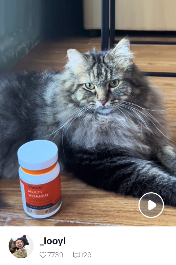 Gastroenteritis Treatment Diarrhea Relief TabletsFor dogs & cats