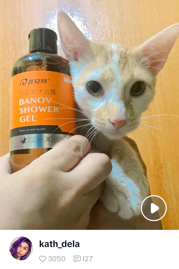 Gastroenteritis Treatment Diarrhea Relief TabletsFor dogs & cats