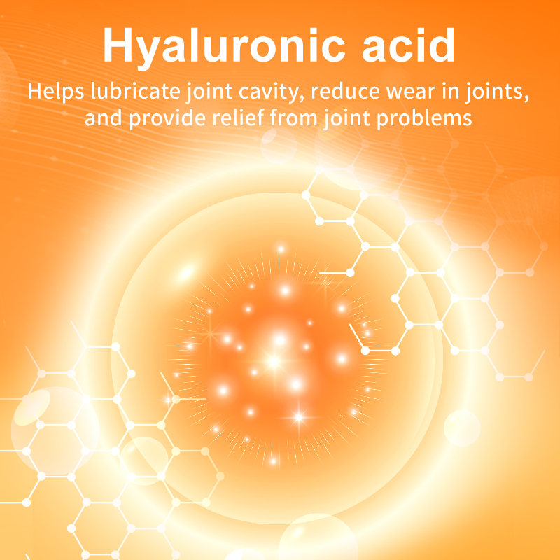 Puainta HIP & JOINT GLUCOSAMINE & CHONDROITIN 