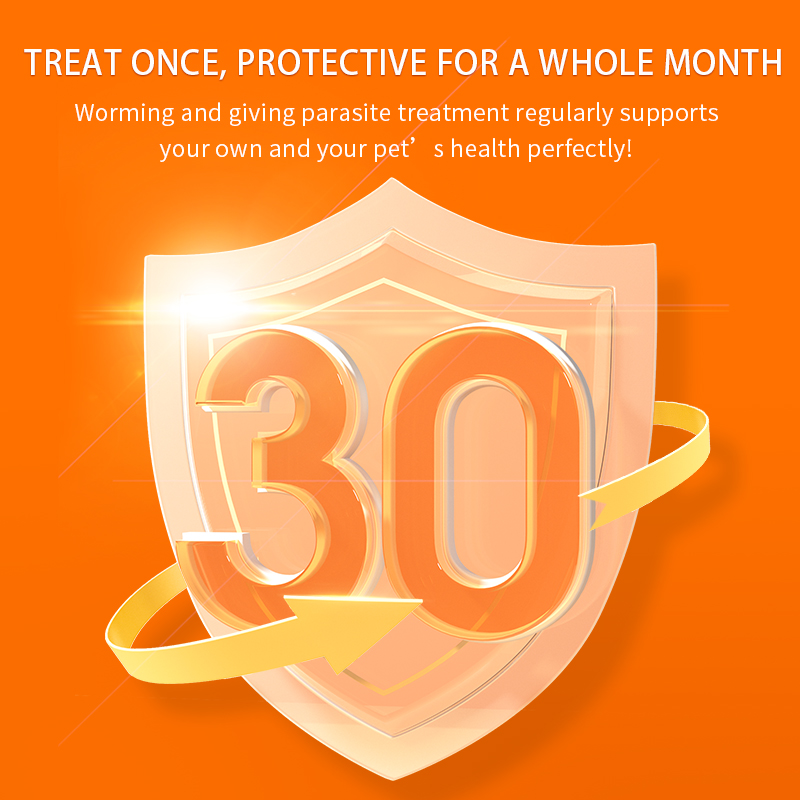 Puainta | Dewormer Anti Flea Lice and Worms for Dogs/ Cats