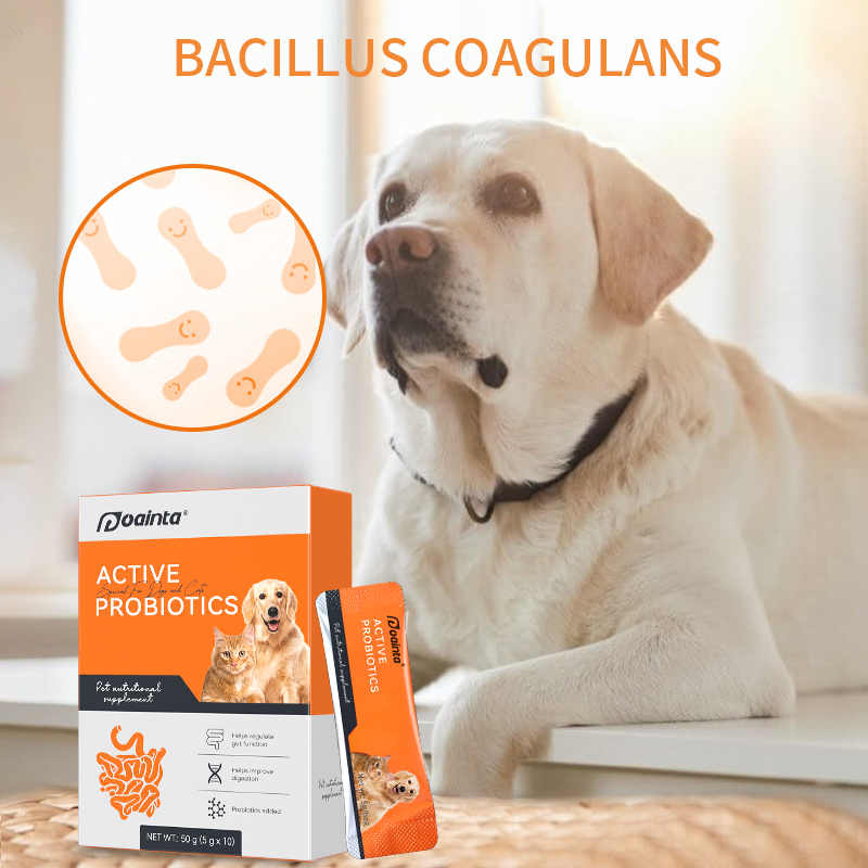 Puainta® Probiotic for Dogs/ Cats