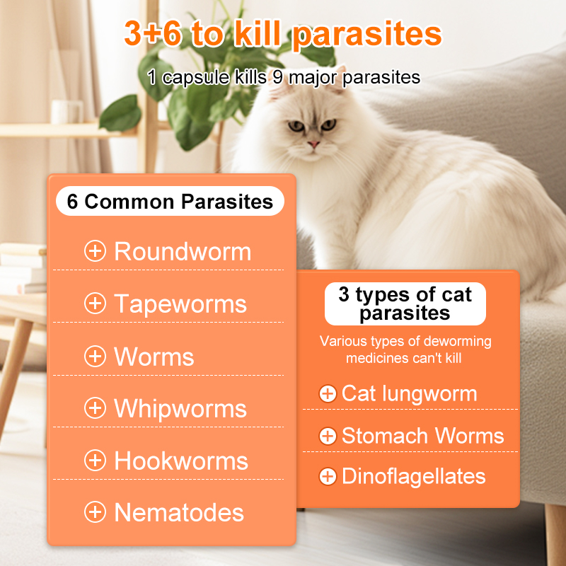 Fenbendazole Dewormer for Dogs/ Cats- Tablets