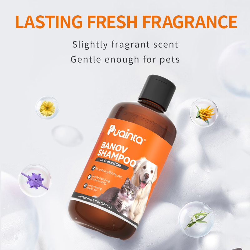 Puainta Banov Shampoo Antiitch Medicated