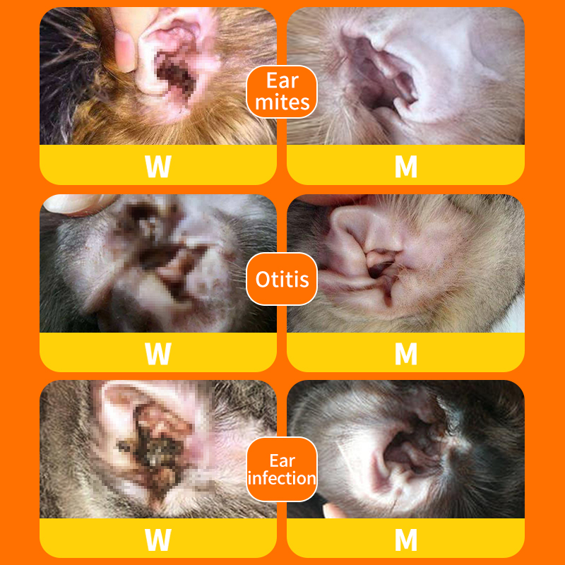 Ointment for Ear Mites & Otitis