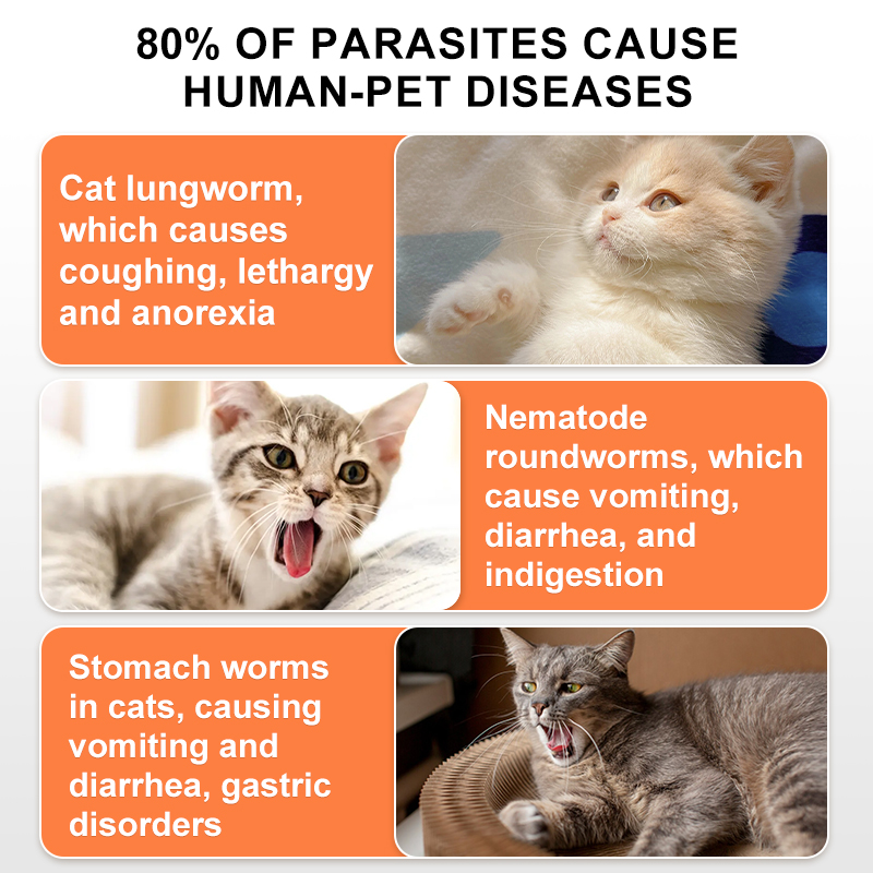 Puainta | Tick & Flea Remover Treatment-For Dogs & Cats