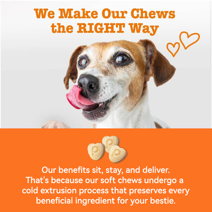 Dog Itch/Redness/Immune Support Chewable Tablets
