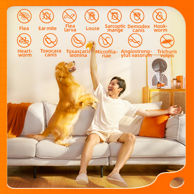 Puainta | Dewormer Anti Flea Lice and Worms for Dogs/ Cats