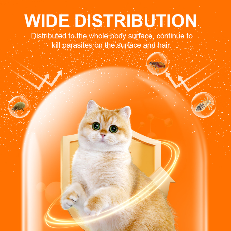 Puainta | Tick & Flea Remover Treatment-For Dogs & Cats