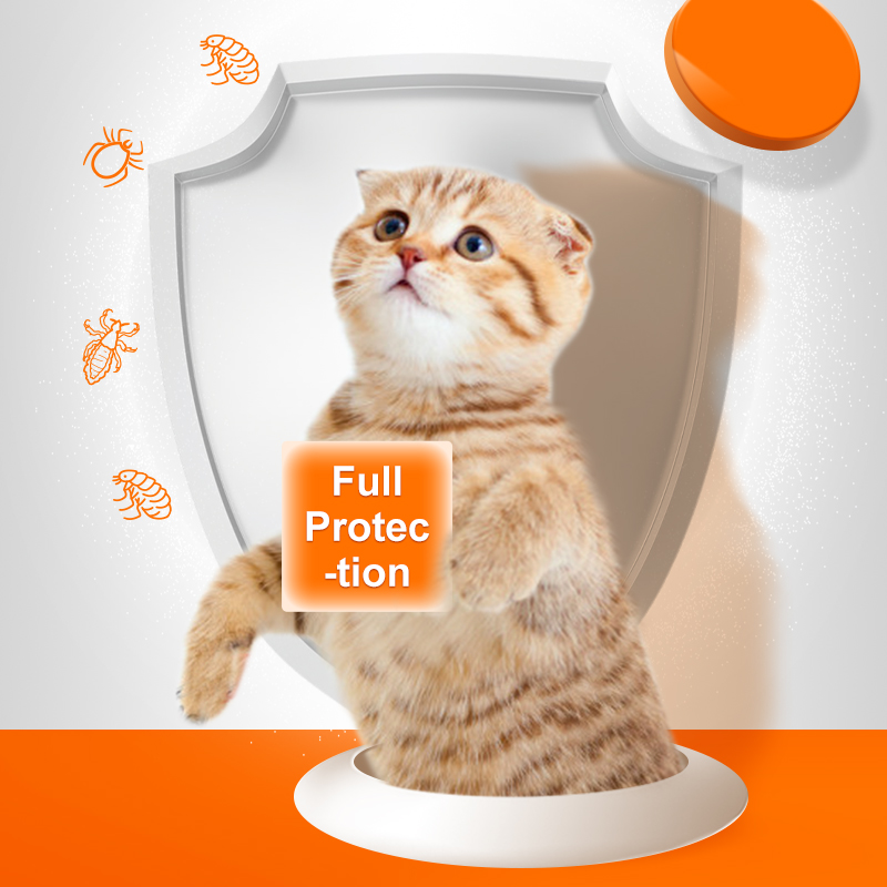 Puainta | Tick & Flea Remover Treatment-For Dogs & Cats