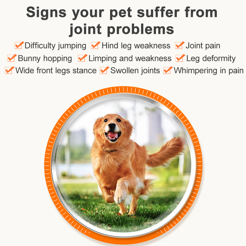 Puainta HIP & JOINT GLUCOSAMINE & CHONDROITIN 