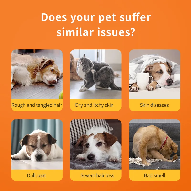 Anti-itch Medicated Shampoo