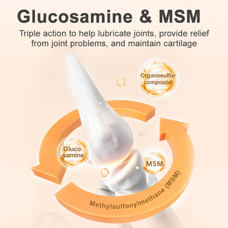 Puainta HIP & JOINT GLUCOSAMINE & CHONDROITIN 