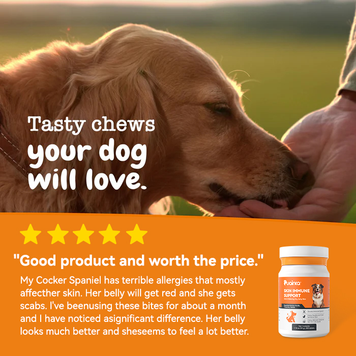 Dog Itch/Redness/Immune Support Chewable Tablets