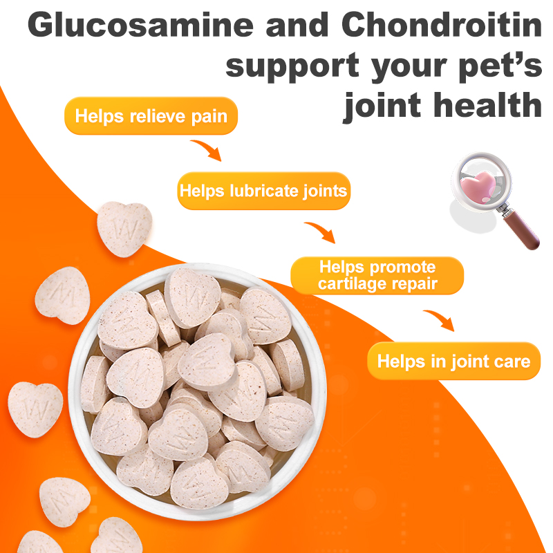 Puainta HIP & JOINT GLUCOSAMINE & CHONDROITIN 