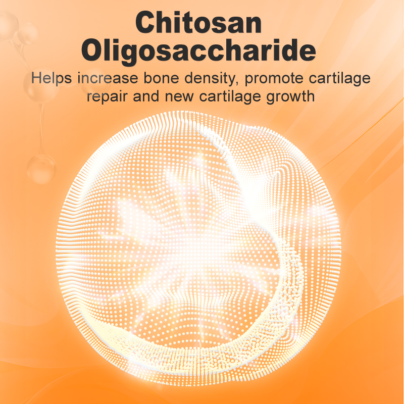 Puainta HIP & JOINT GLUCOSAMINE & CHONDROITIN 