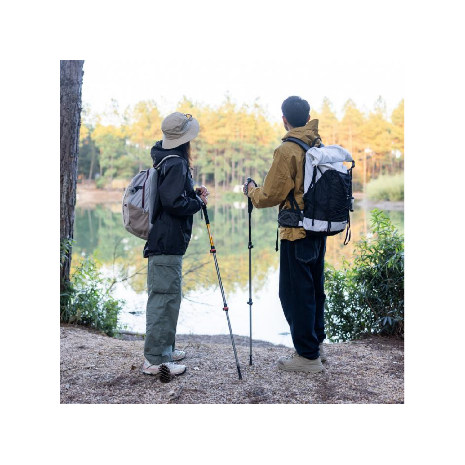 Naturehike ST01トレッキングポール 6061アルミ製 超軽量 2本セット