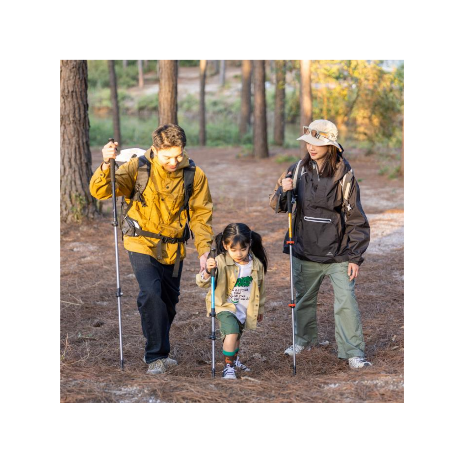 Naturehike ST01トレッキングポール 6061アルミ製 超軽量 2本セット