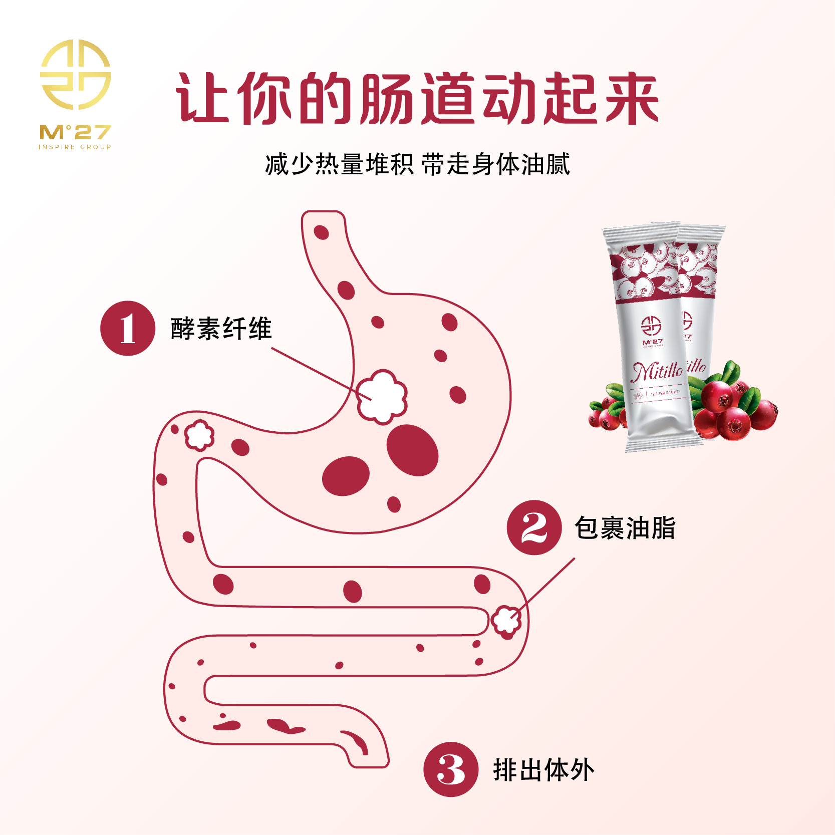 Mitillo五色分解淀粉酵素