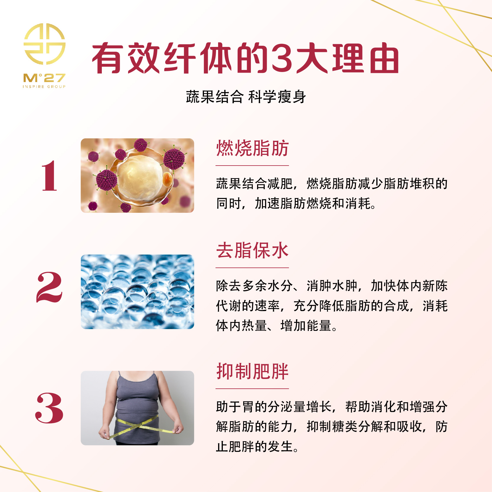 Mitillo五色分解淀粉酵素