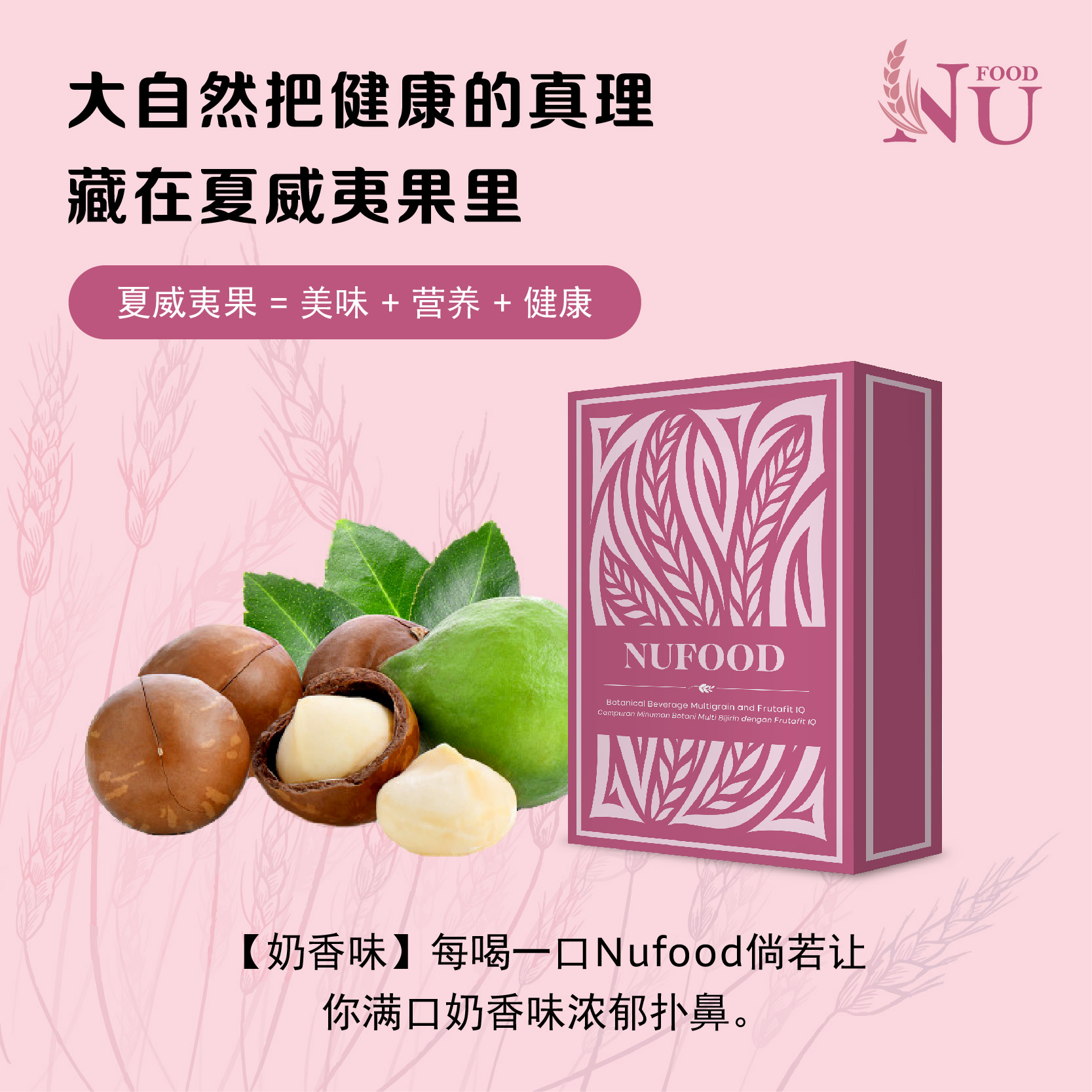 Nufood养胃轻营养谷粮