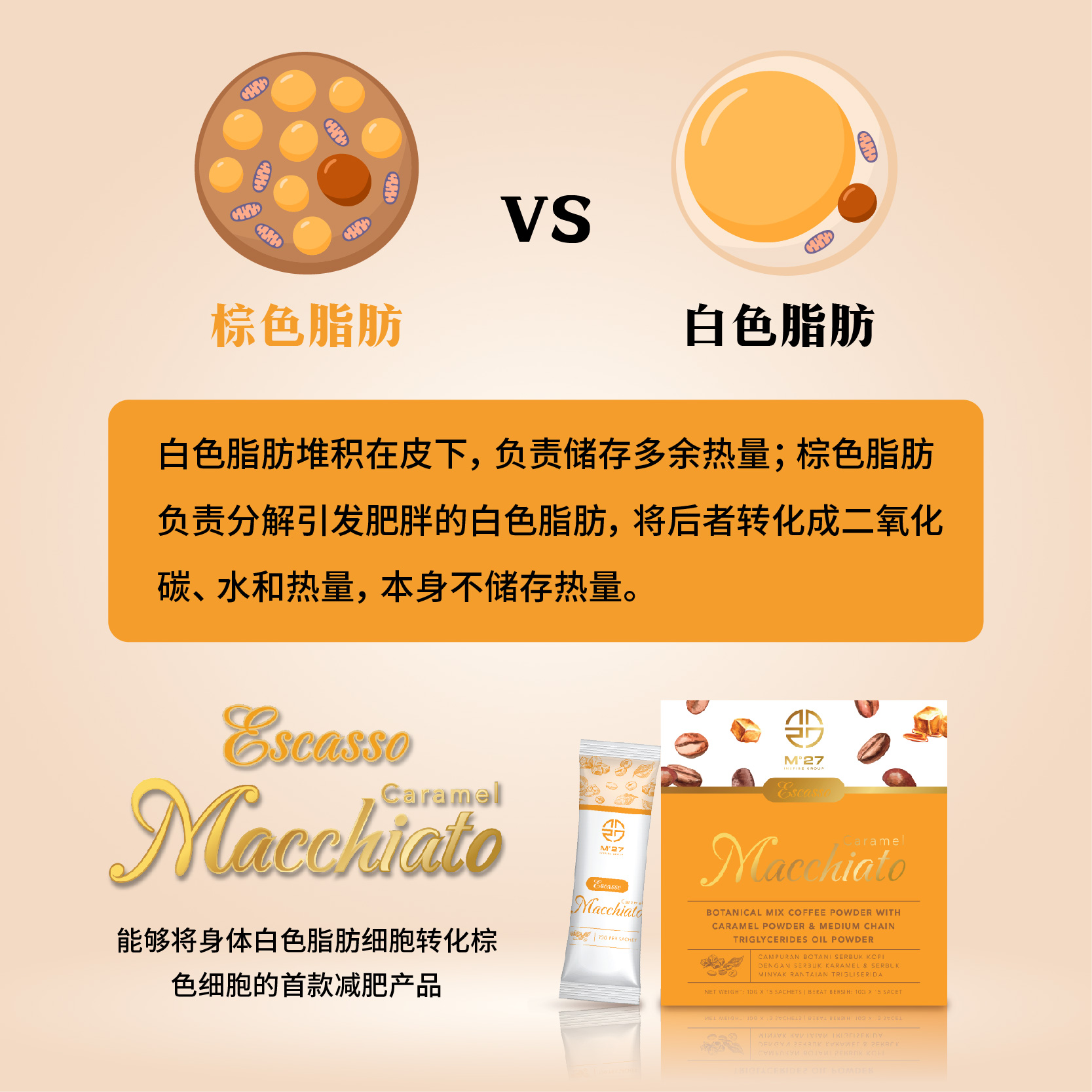 Mahchiato 脂肪转换燃脂玛奇朵咖啡