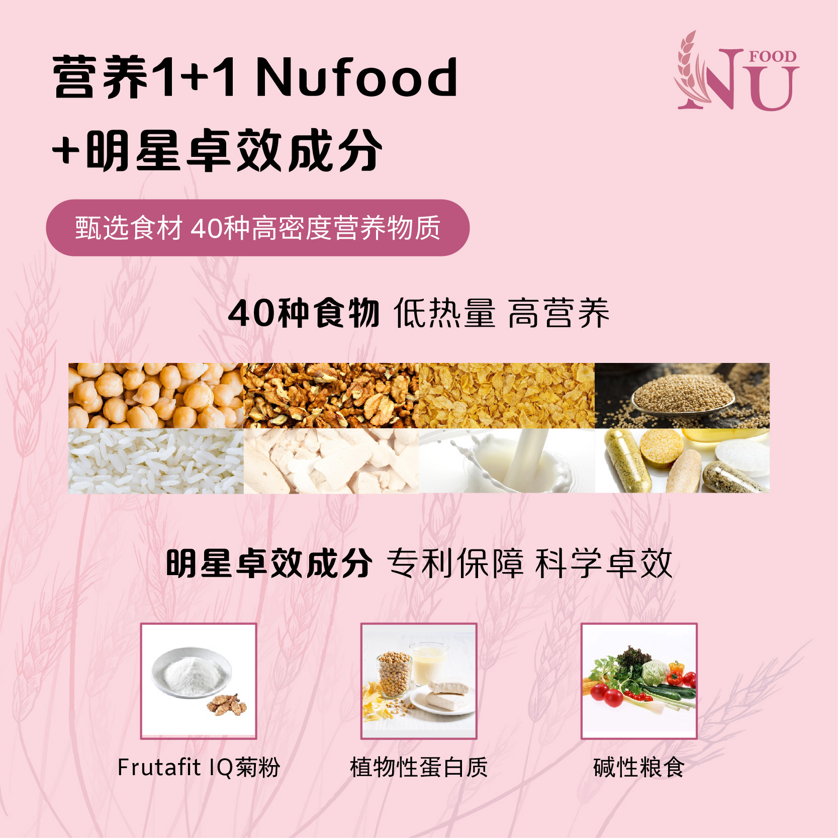 Nufood养胃轻营养谷粮