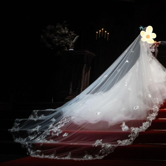 実例写真！ロングベール コーム付き 美しい花レース シアーな美しさ フランス風 拳式/前撮り