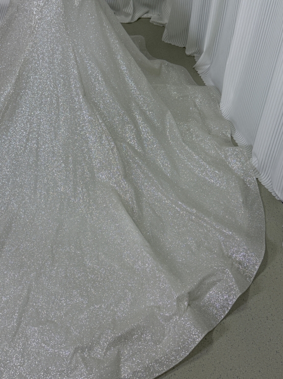 フランス風 ウエディングドレス Vネック 短袖 ビジュー キラキラチュール マーメイドライン ロングトレーン 結婚式