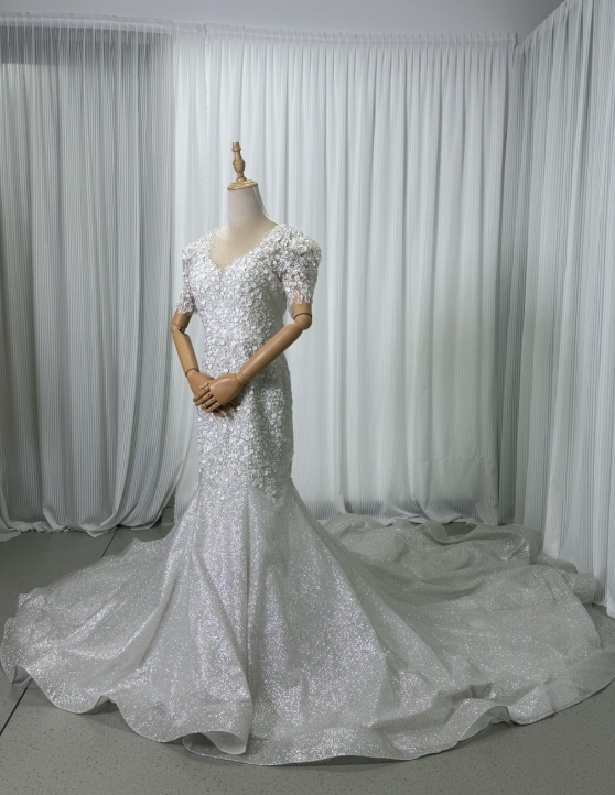 フランス風 ウエディングドレス Vネック 短袖 ビジュー キラキラチュール マーメイドライン ロングトレーン 結婚式