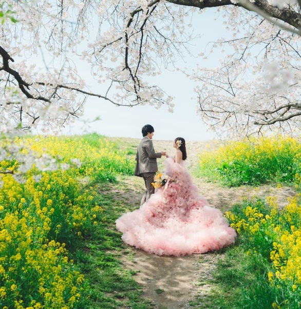 実例写真！カラードレス ピンク もこもこドレス リボン 編み上げ 披露宴 花嫁 可愛い