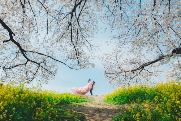 実例写真！カラードレス ピンク もこもこドレス リボン 編み上げ 披露宴 花嫁 可愛い