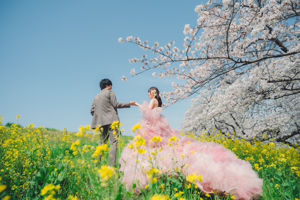 実例写真！カラードレス ピンク もこもこドレス リボン 編み上げ 披露宴 花嫁 可愛い