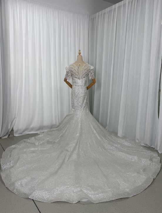 フランス風 ウエディングドレス Vネック 短袖 ビジュー キラキラチュール マーメイドライン ロングトレーン 結婚式