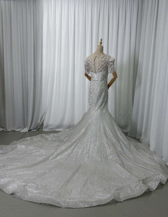 フランス風 ウエディングドレス Vネック 短袖 ビジュー キラキラチュール マーメイドライン ロングトレーン 結婚式