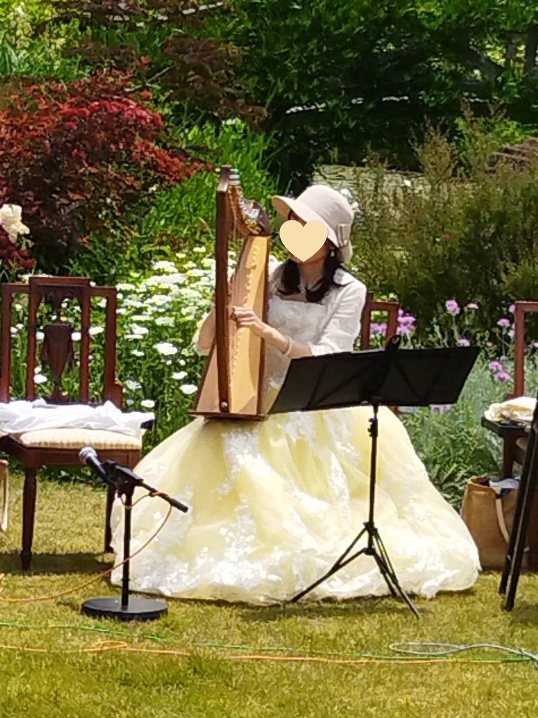 実例写真！カラードレス ライトイエロー ベアトップ 繊細レース 可愛い バックリボン 演奏会/音楽会