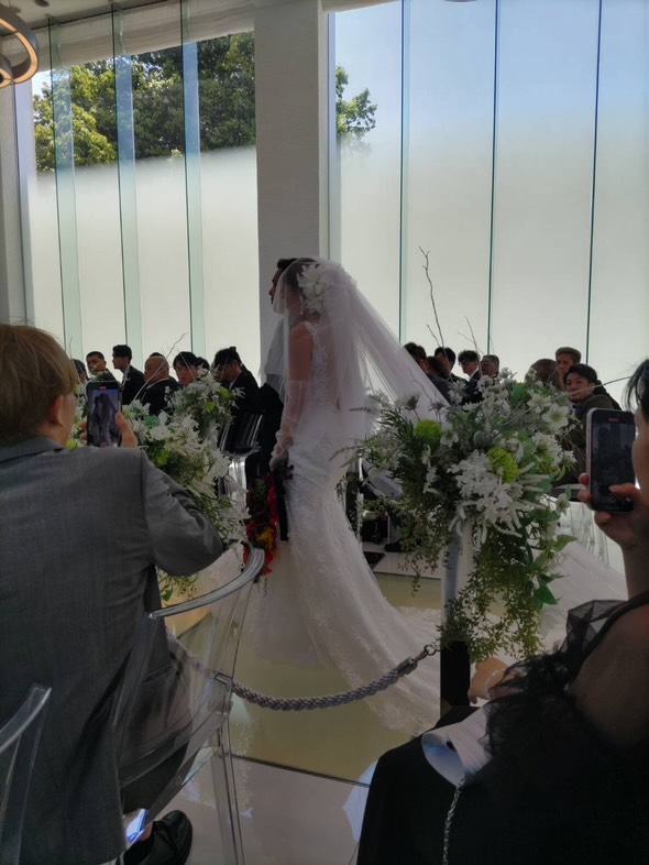 実例写真！ウエディングドレス マーメイドライン ロングトレーン 背中見せ フランス風 結婚式 前撮り