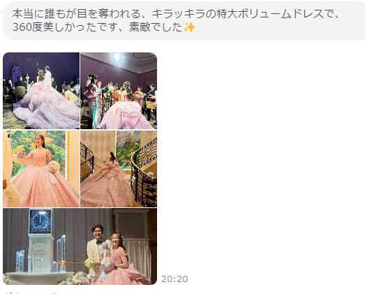 豪華なカラードレス　ピンク　特大ボリューム　キラッキラ　プリンセスライン　挙式　結婚式
