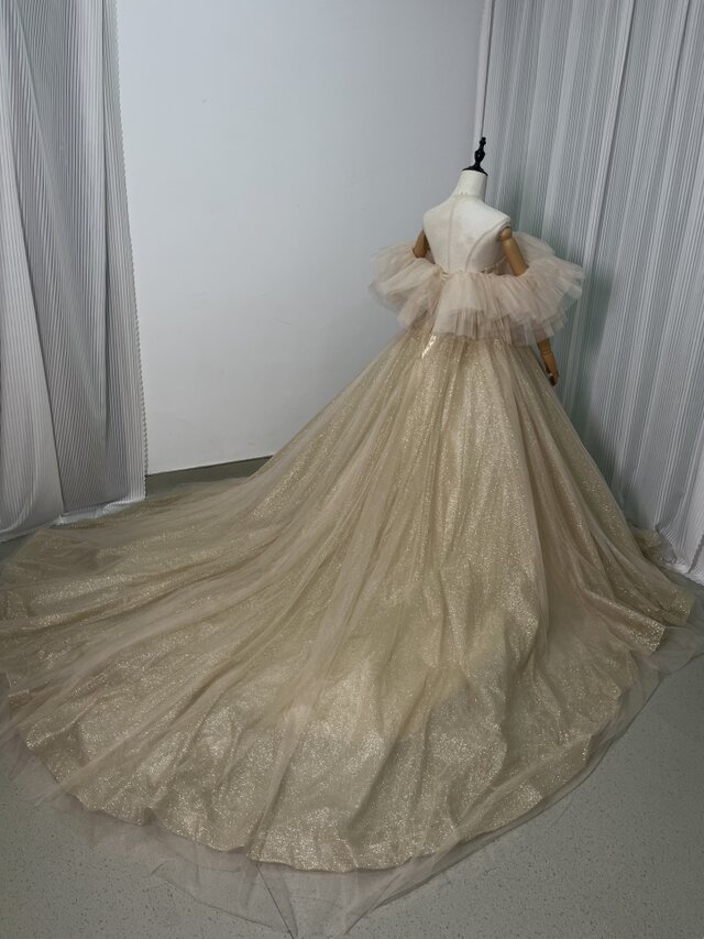実例写真！カラードレス シャンパン色 オフショルダー キラキラグリッターチュール 編み上げ 花嫁 ウェディングドレス