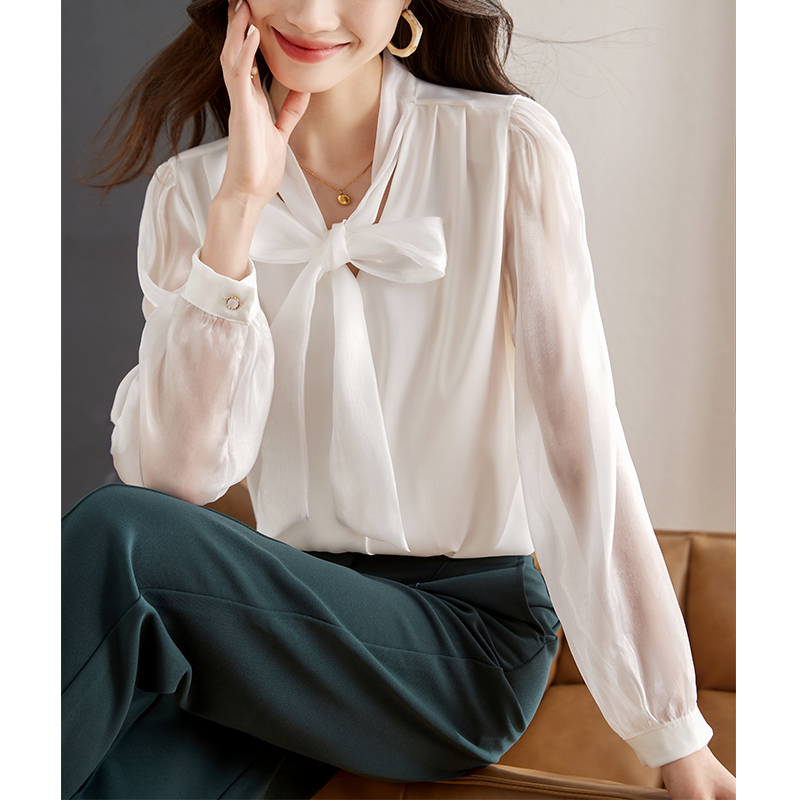 繫帶蝴蝶結歐根紗燈籠袖襯衫