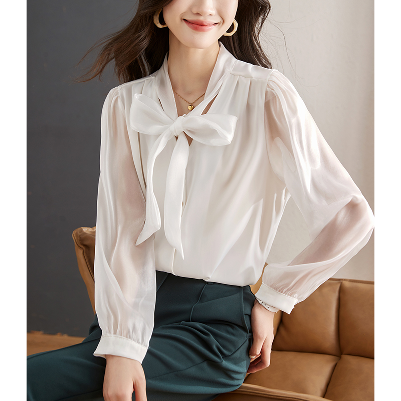 繫帶蝴蝶結歐根紗燈籠袖襯衫
