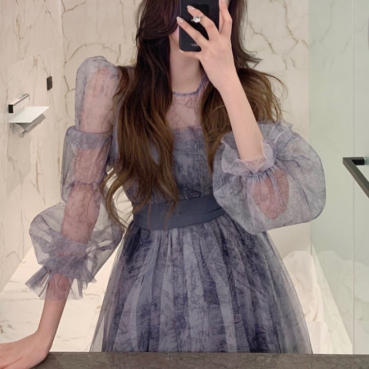 氣質透視水墨復古泡泡袖收腰連衣裙
