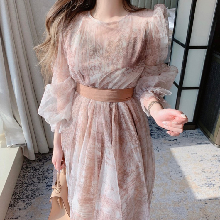 氣質透視水墨復古泡泡袖收腰連衣裙