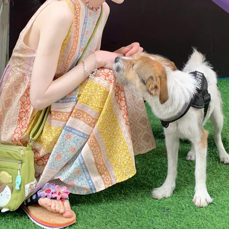 夏季民族風碎花彩色慵懶套裝