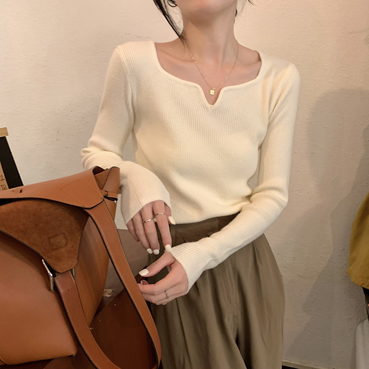 別緻小V領露鎖骨氣質針織衫(6色)