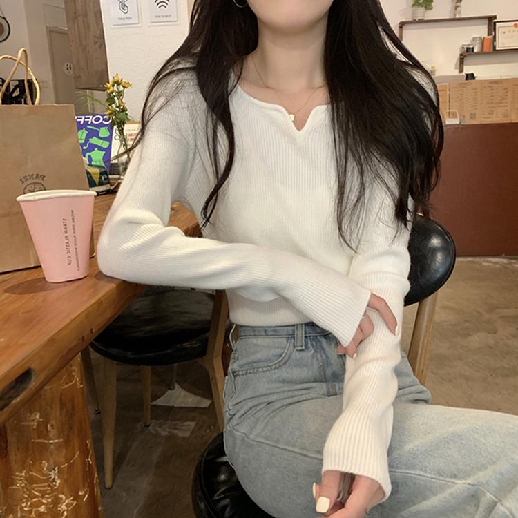 別緻小V領露鎖骨氣質針織衫(6色)