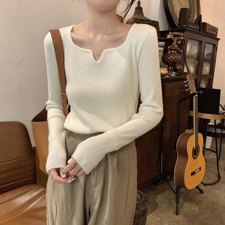 別緻小V領露鎖骨氣質針織衫(6色)