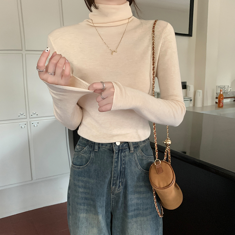 高級感純色長袖高領內搭打底衫