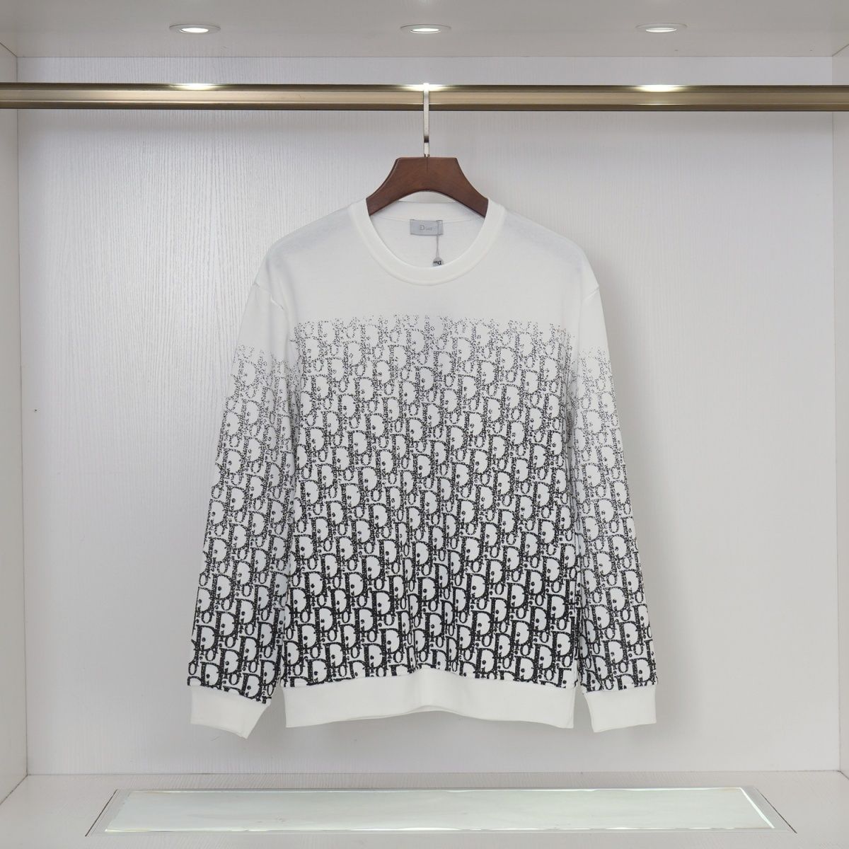 【DIOR】ディオール秋冬新作グラデーションレタープリントスウェットシャツ 男女兼用