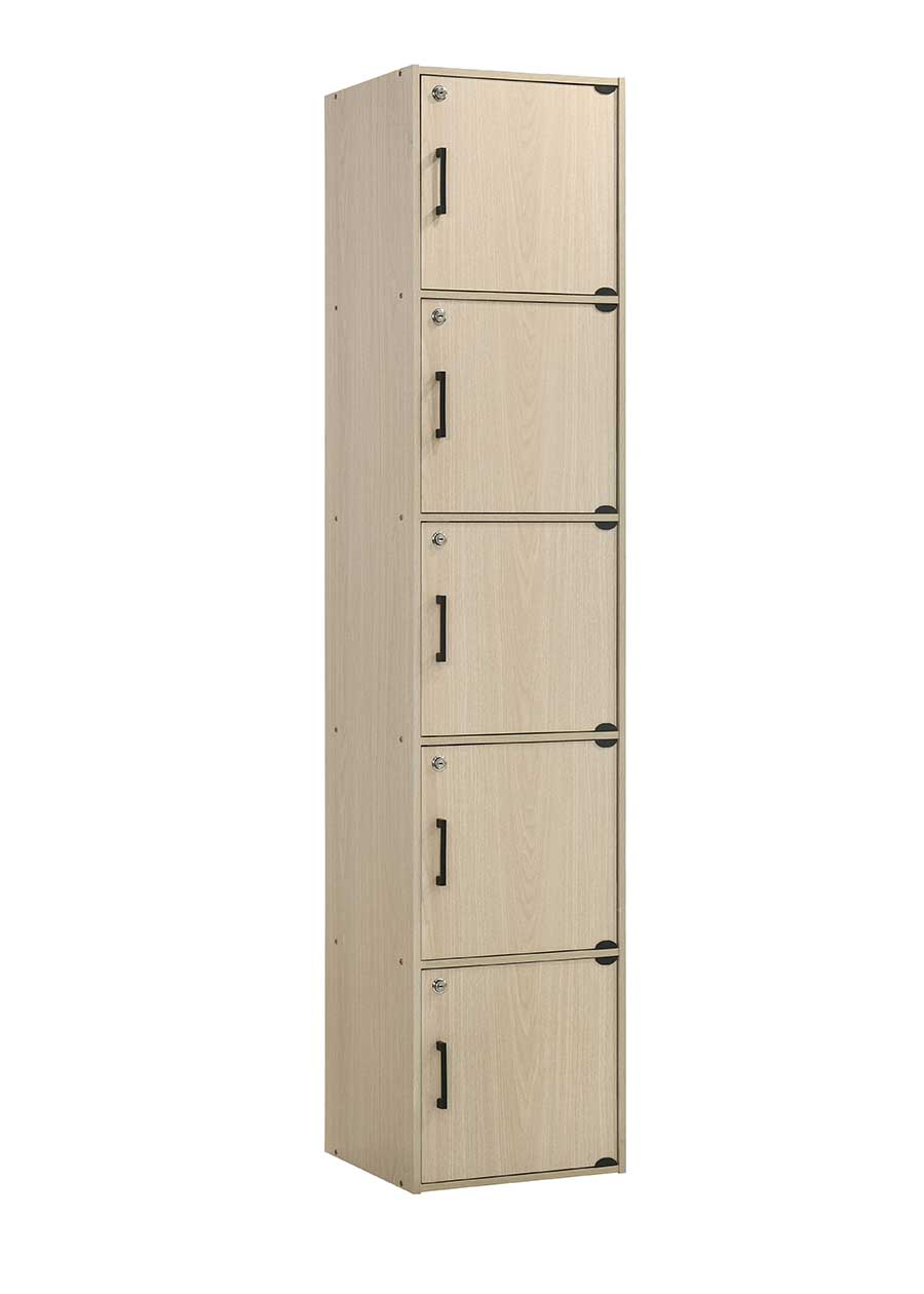 Jim 5 Door Multipurpose Cabinet