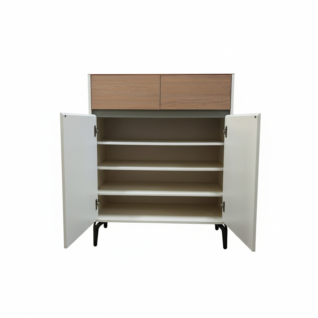 Ava 2 Door Shoe Cabinet